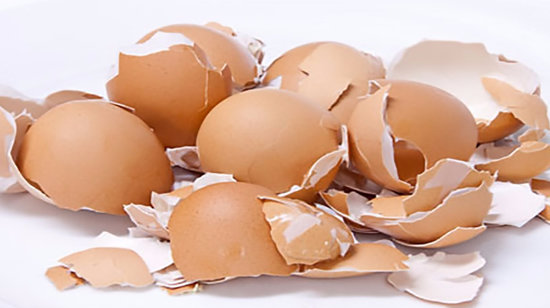 Yumurta qabıqlarını atmayın – FƏRQLİ İSTİFADƏ QAYDALARI