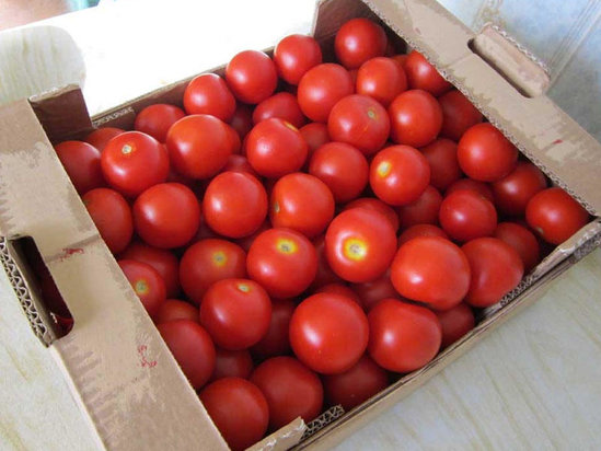 Şad xəbər! Bakıda pomidor 3 dəfə ucuzlaşdı - VİDEO - FOTO