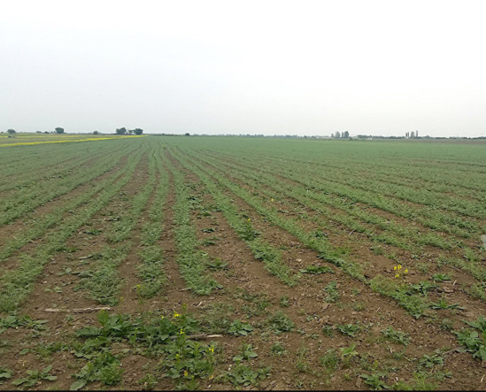 Təcili! Azərbaycanlı fermerdən ermənilərə GÖZLƏNİLMƏZ ZƏRBƏ