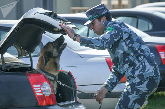 Вот какие необычные собаки охраняют границы Азербайджана - ФОТОРЕПОРТАЖ