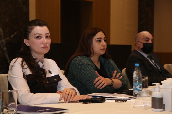 "Qlobal araşdırmaçı jurnalist və insan hüquqları şəbəkəsinin Azərbaycana qarşı fəaliyyətində erməni faktoru"