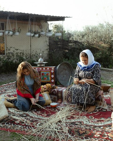 Prezident ailəsi Lənkəranda fermer təsərrüfatı ilə tanış oldu - Fotolar