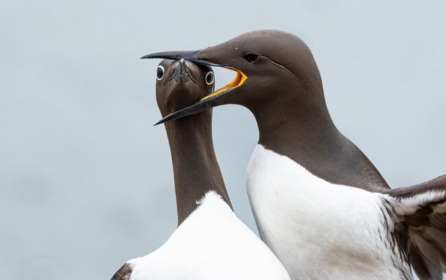 Gülmək istəyirsinizsə, bu fotolara baxın