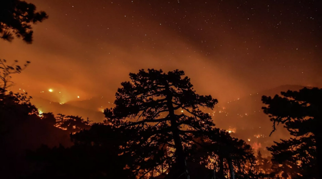 Türkiyədə meşə yanğınları: Ölənlər və 500-dən çox xəsarət alan var