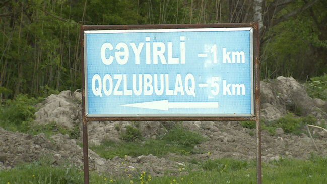 Şəkidə canavarlar qoyun-quzunu parçaladı (FOTO)
