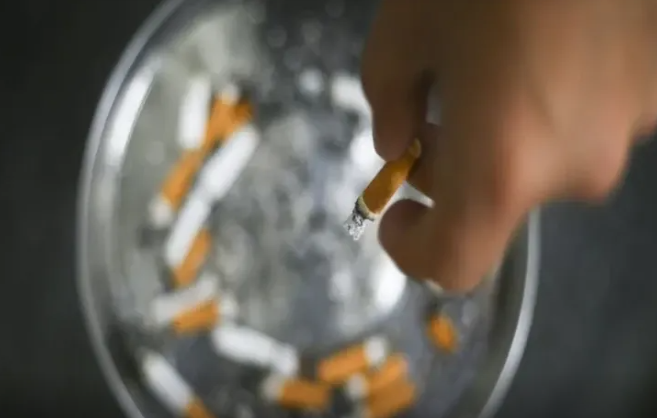 Siqaret hansı növ xərçənglərə səbəb olur? - Qorxunc araşdırma