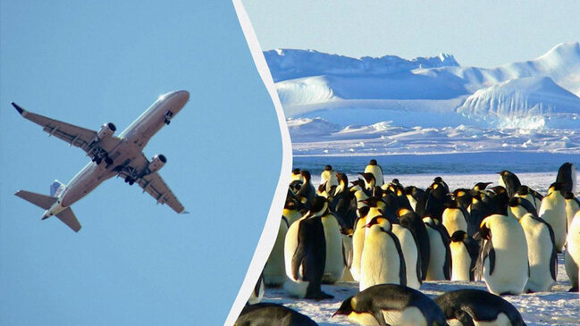 Niyə təyyarələr düz xətt üzrə uçmur və Antarktidadan yan keçir?