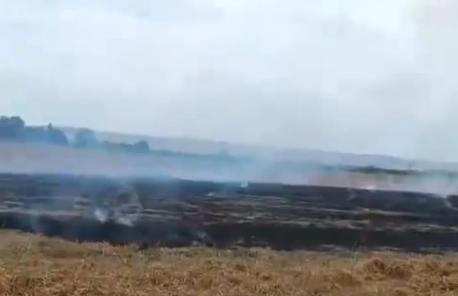 Qubada bağ sahəsi yanıb