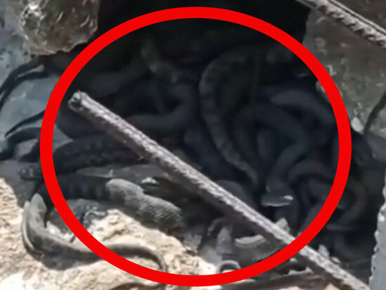 Bakıda DƏHŞƏTLİ GÖRÜNTÜLƏR - Burada hər an ölümlə üzləşə bilərsiniz - VİDEO