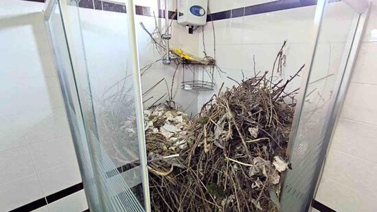 2 ildən sonra evinə qayıdan qadın heyrətə gəldi: Hamama girəndə... - FOTO