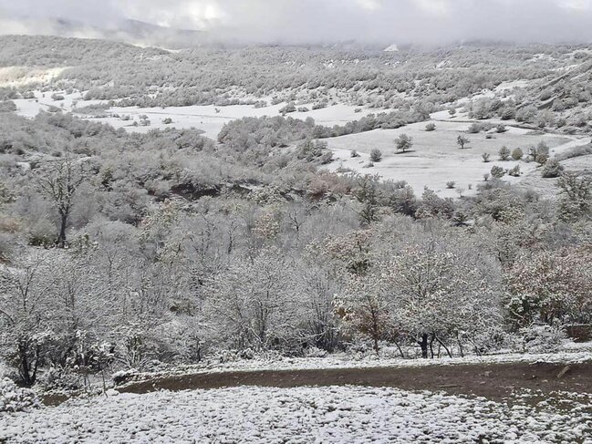 Milli Parklar ağ örpəyə büründü - FOTO