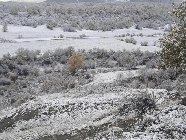Milli Parklar ağ örpəyə büründü - FOTO