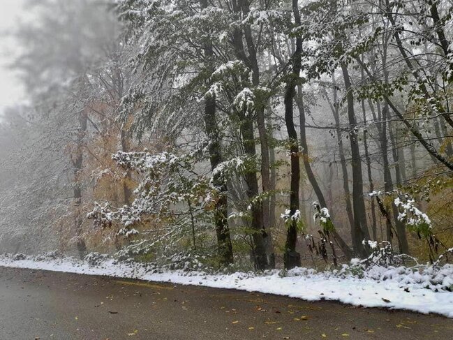 Milli Parklar ağ örpəyə büründü - FOTO