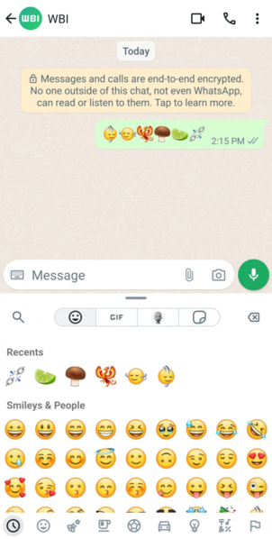 "WhatsApp"dan maraqlı YENİLİK - FOTO