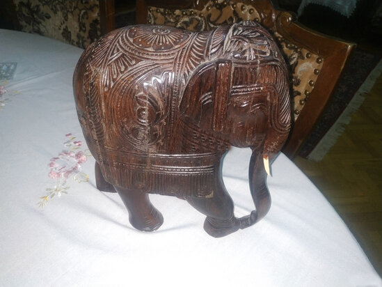 Hindistandan gətirilən fil Bakıda bu qiymətə SATILIR - FOTO