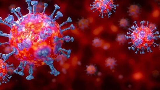 Koronavirusa qarşı yerli immuniteti necə artırmalı?- 3 bilmədiyiniz SİRR