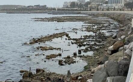 Xəzərdə fəlakətli durum: Bakı və Moskva bacaracaqmı?