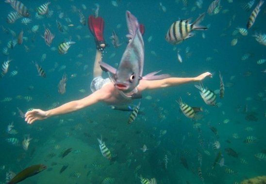 İnternet tarixinin ən komik FOTOLARI