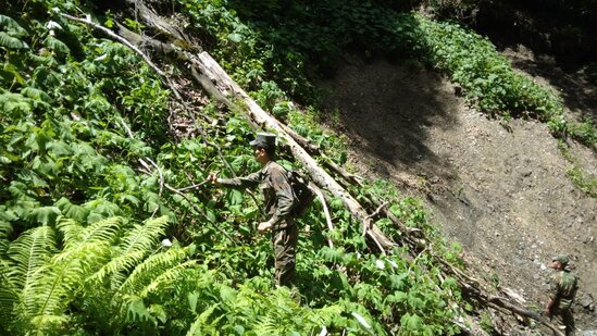 Hindistanlı turistin axtarışları davam etdirilir - Video
