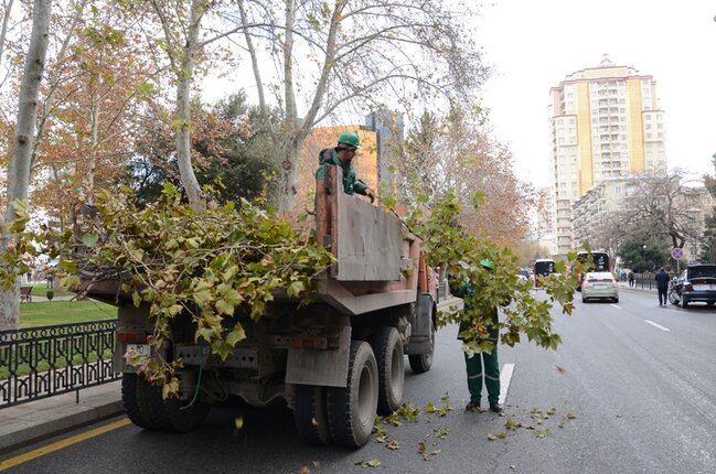 Bakıda ümumşəhər sanitar günü keçirildi