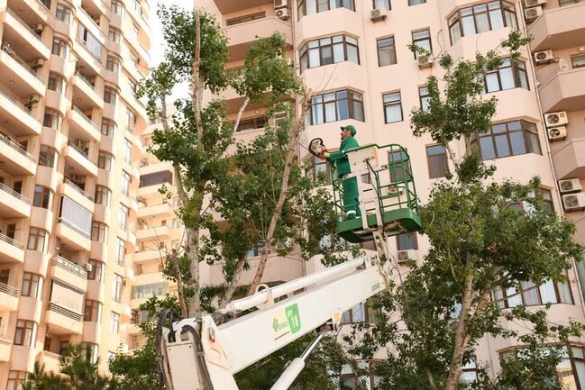 Paytaxtda növbəti daxili iməclik keçirilib