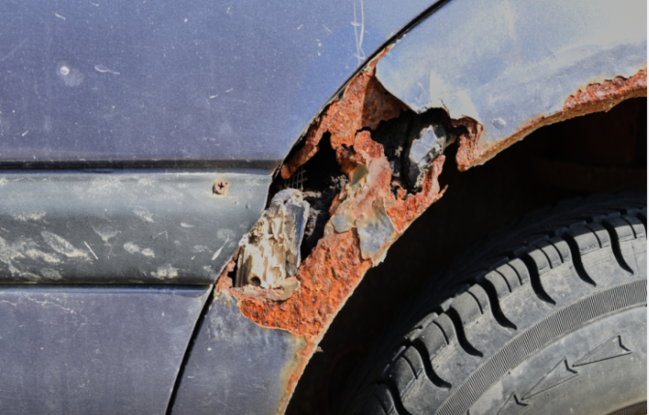 Avtomobili pasdan necə qorumaq olar? - Mütəxəssislərin məsləhətləri