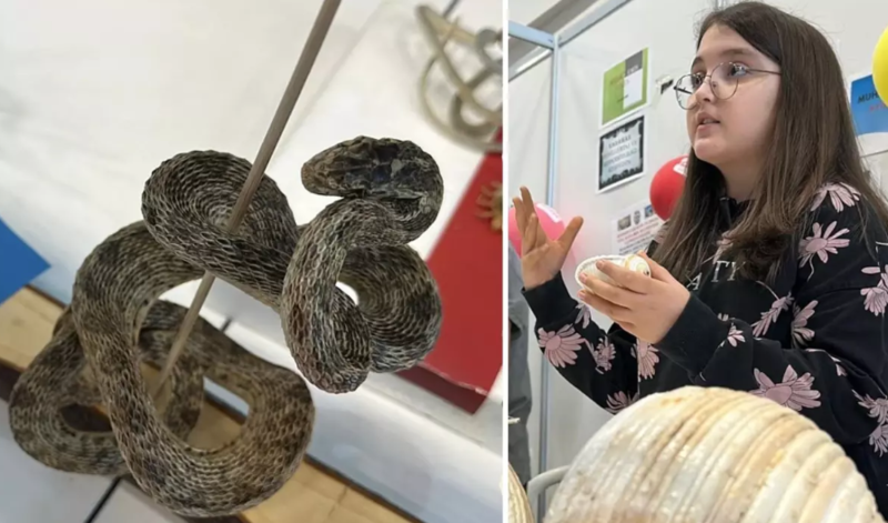 12 yaşlı məktəbli 5 minə yaxın fosillə muzey qurdu