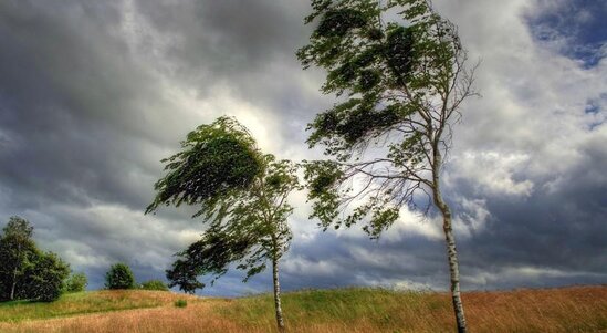 Ölkədə ən güclü külək bu rayonda qeydə alındı