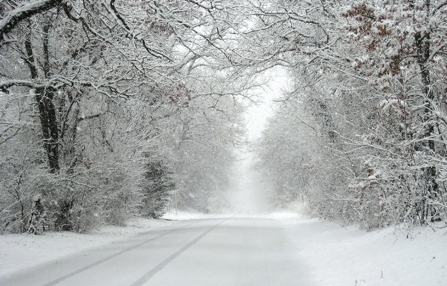 Bu tarixdən hava KƏSKİN DƏYİŞİR, bəzi ərazilərdə qar yağacaq - XƏBƏRDARLIQ