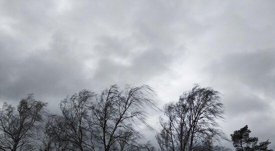 Güclü külək Cəlilabadda fəsadlar törədib, bir sıra kəndlər işıqsız qalıb