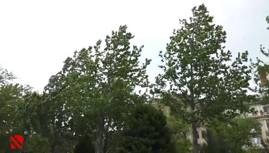 Güclü külək sabahadək davam edəcək - VİDEO