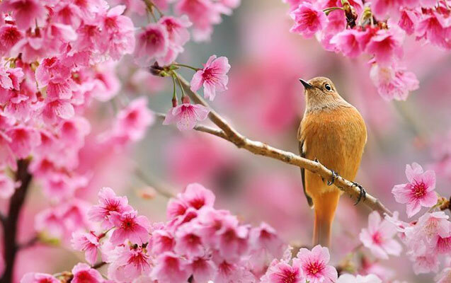 Sabah 13° isti olacaq