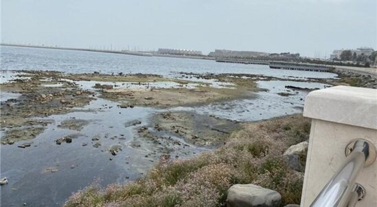 Umayra Tağıyeva: "Son 15 ildə Xəzərin səviyyəsi təxminən metr yarım azalıb"