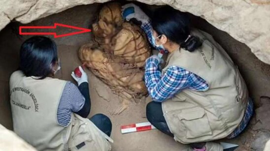 Torpağı qazanda dəhşətə gəldilər: Uşaqları qurban kəsib basdırıblar - VİDEO