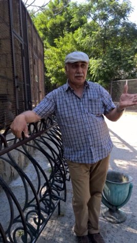 Zooparkın direktoru pinqvinlə bağlı müraciət etdi