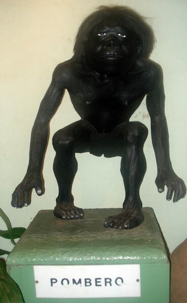 Tarladakı çüxura baxanda DƏHŞƏTƏ GƏLDİLƏR: 3 yaşlı uşaq və naməlum varlıq... - FOTOLAR