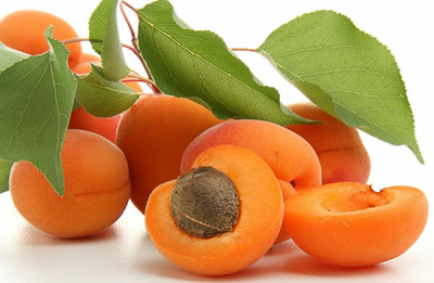 Hər ərik tumu 1 milyonluq sərvət imiş