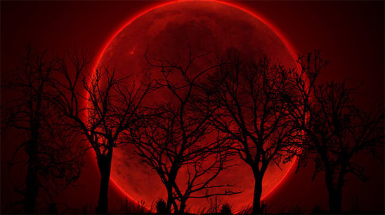 Bu gecə "Qanlı Ay tutulması" baş verəcək