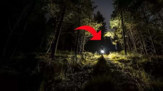 Meşəyə qaçıb illərlə tək yaşadı: Geri qayıdanda... - İNANILMAZ HADİSƏ / FOTOLAR