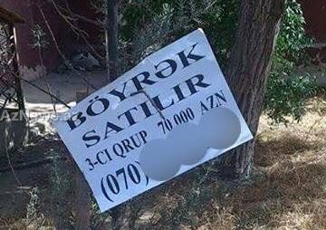 Bakıda ŞOK elan - 70 minə böyrək satılır