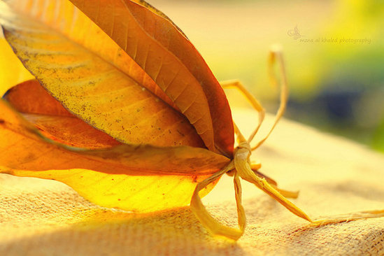 Həftəsonu üçün hava proqnozu