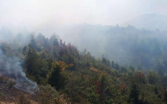 Şabranda yanğın lokallaşdırıldı