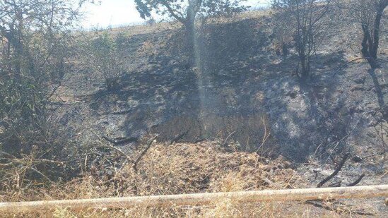Quba və Şabranda yanğın tam söndürüldü