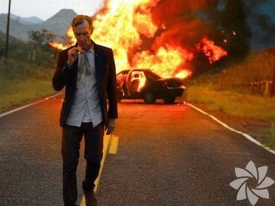 Dünyanın ən qəribə şəkilləri (FOTO)