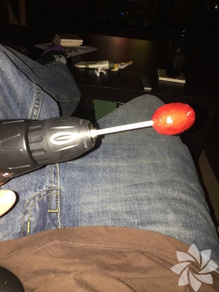 Dünyanın ən qəribə şəkilləri (FOTO)