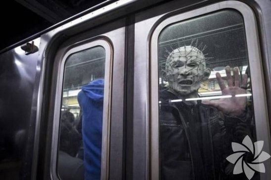 Dünyanın ən qəribə şəkilləri (FOTO)