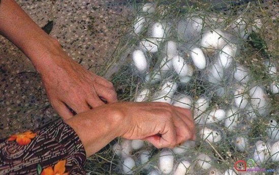 Şad xəbər! Azərbaycanda 150 min nəfərlik iş yeri, 10 milyonlarla gəlir