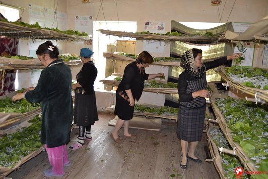 Şad xəbər! Azərbaycanda 150 min nəfərlik iş yeri, 10 milyonlarla gəlir