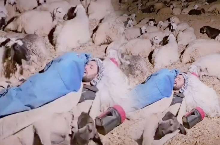 Görüntüləri gündəm olan çoban dünyada məşhur oldu - FOTO