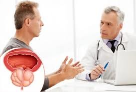 Sidiyə gec getmə və prostat vəzinin digər problemlərindən azad olacağınız təbii vasitə